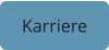 Karriere