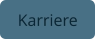 Karriere