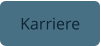 Karriere
